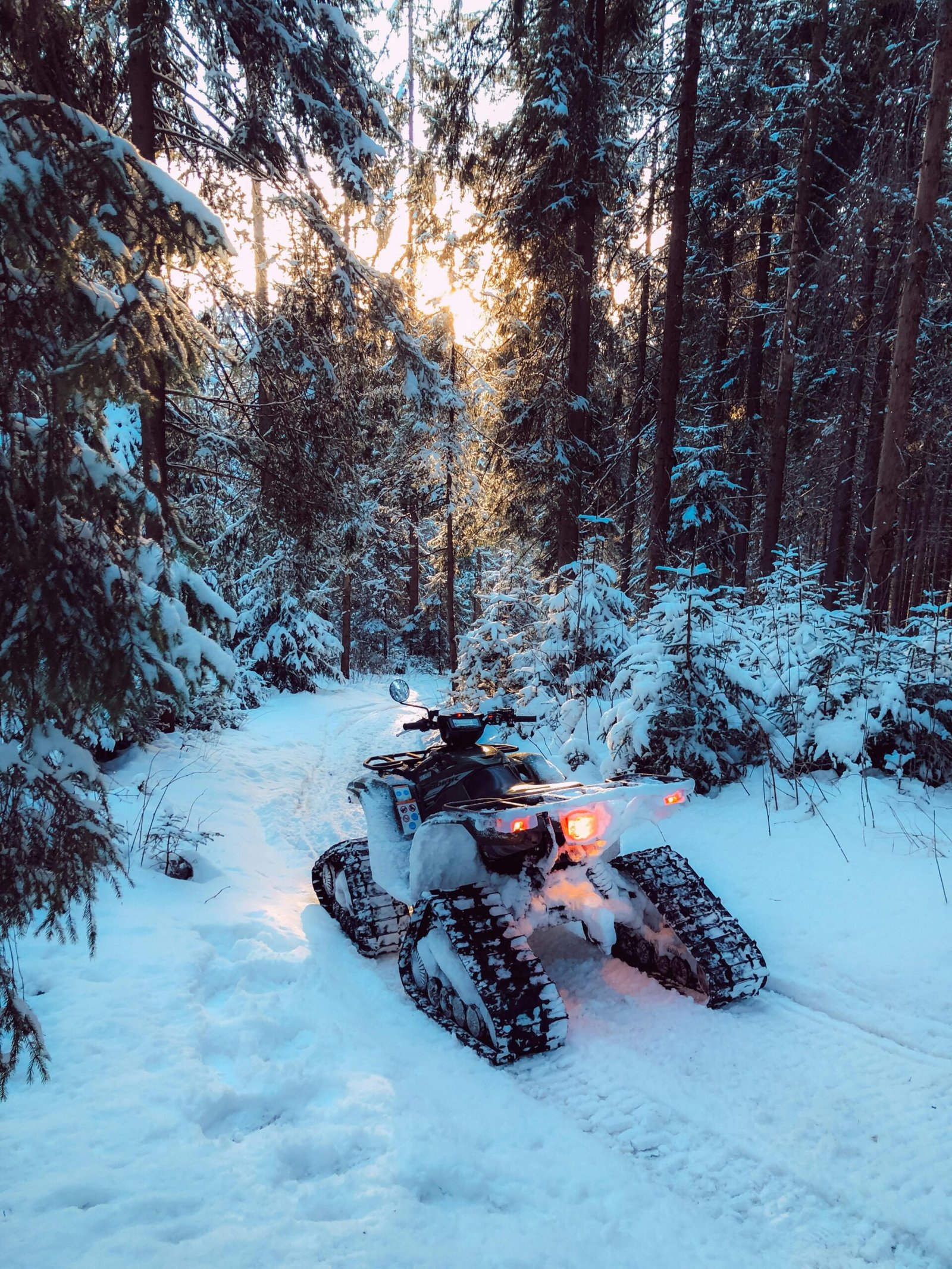 A snowmobile navigates a snowy trail through a serene coniferous forest during winter.